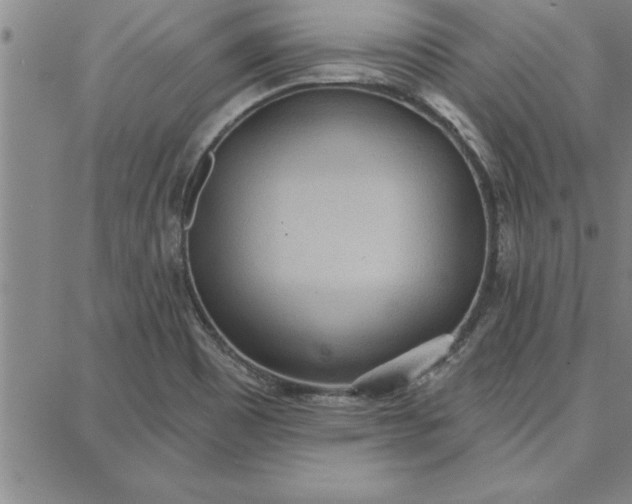 X0000087741465200705211000