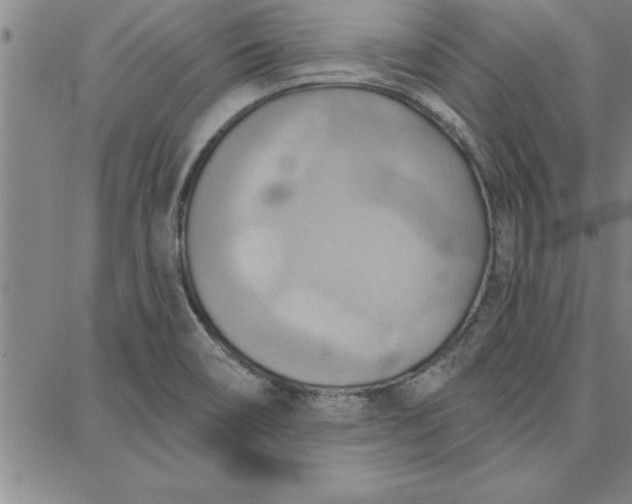 X0000087741466200705211000