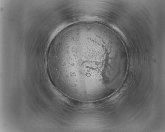 X0000087741467200705211000