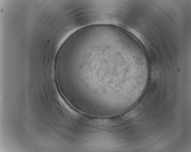 X0000087741468200705211000