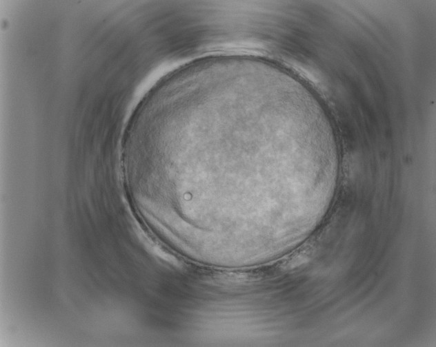 X0000087741470200705211000