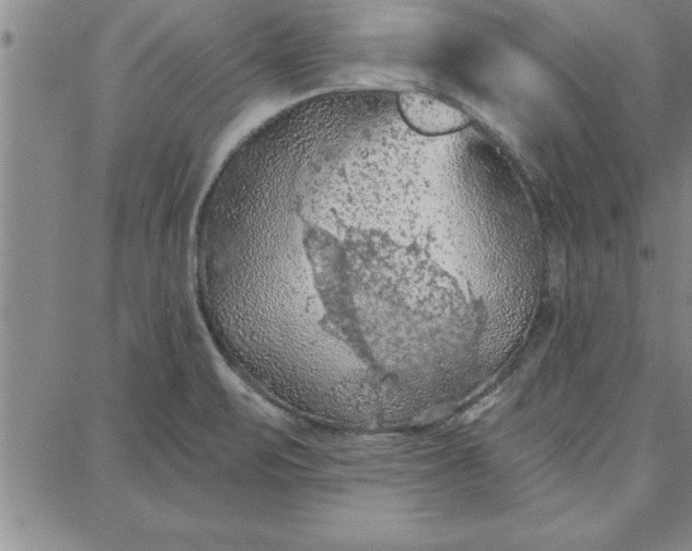 X0000087741471200705211000