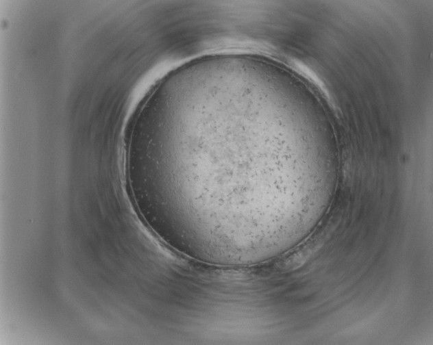 X0000087741472200705211000