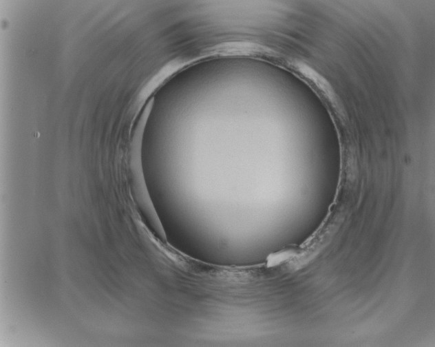 X0000087741473200705211000