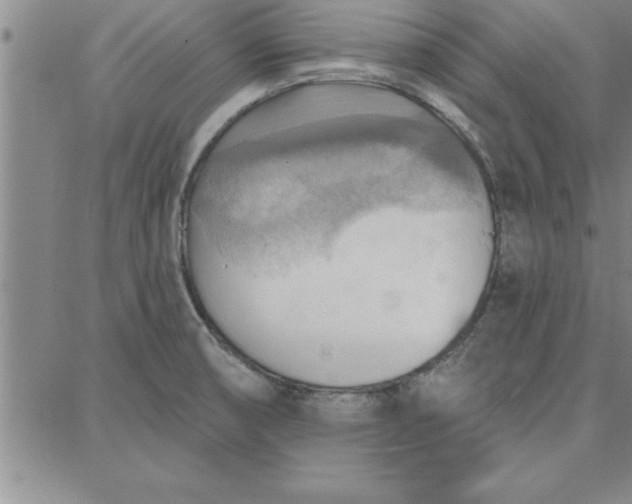 X0000087741474200705211000