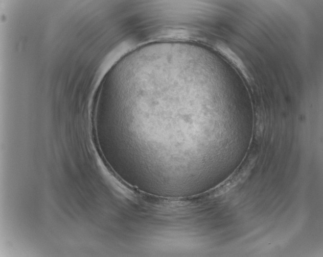 X0000087741475200705211000