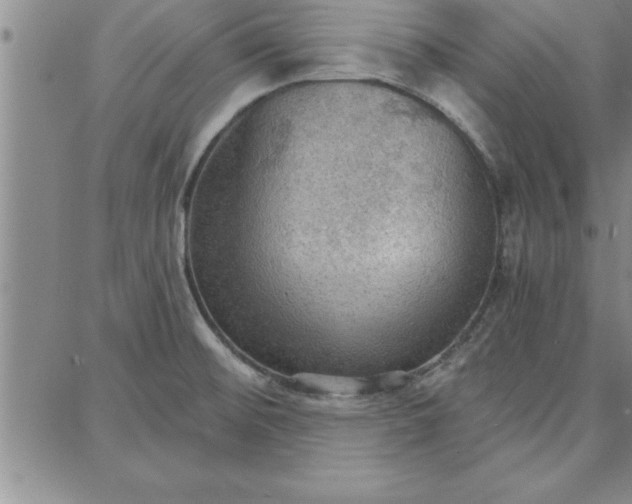 X0000087741476200705211000