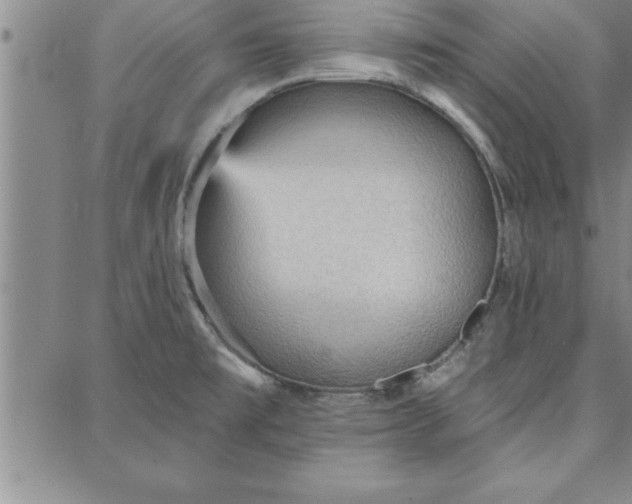 X0000087741477200705211000