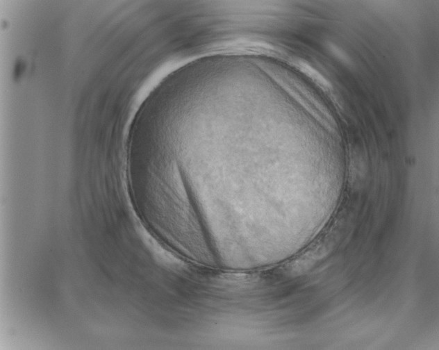 X0000087741478200705211000