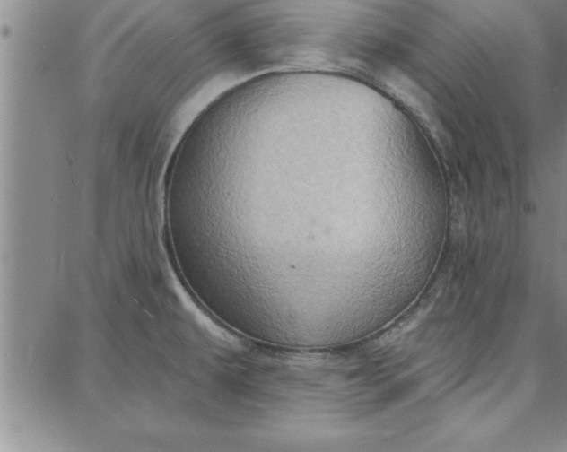 X0000087741479200705211000