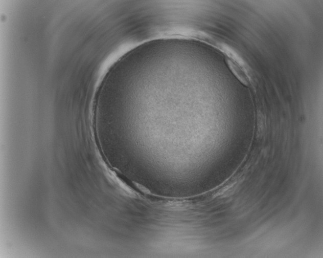 X0000087741480200705211000