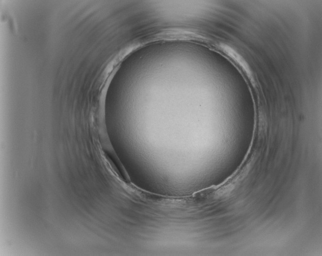 X0000087741481200705211000