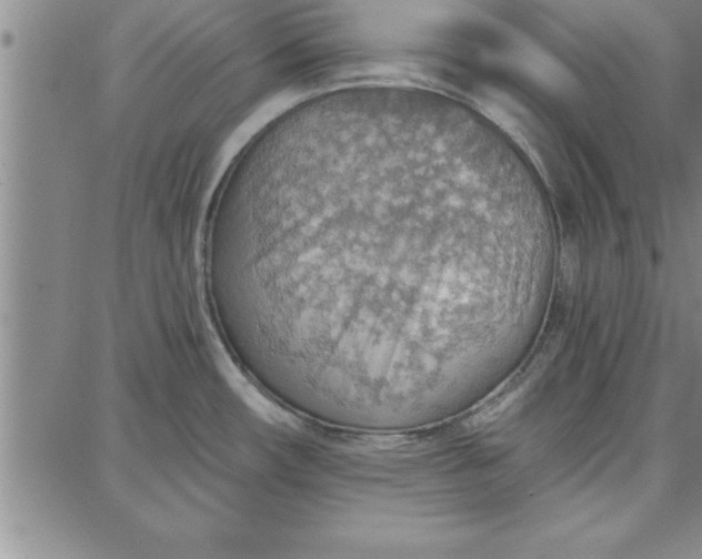 X0000087741482200705211000