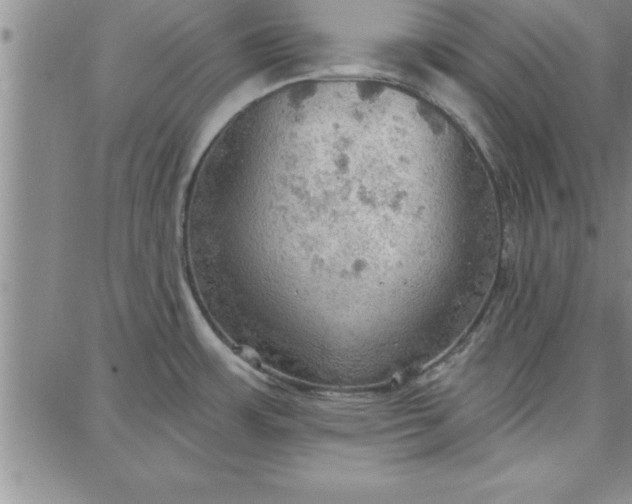 X0000087741483200705211000