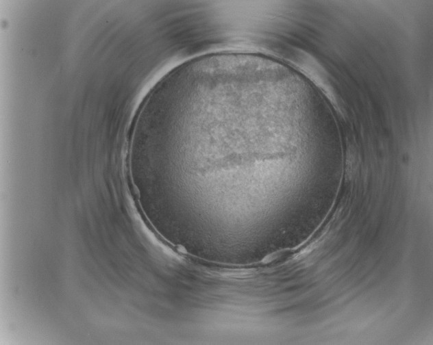 X0000087741484200705211000