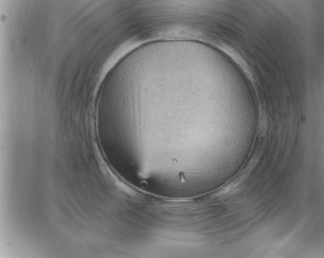 X0000087741486200705211000