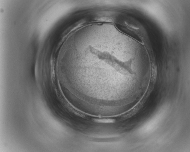 X0000087741487200705211000