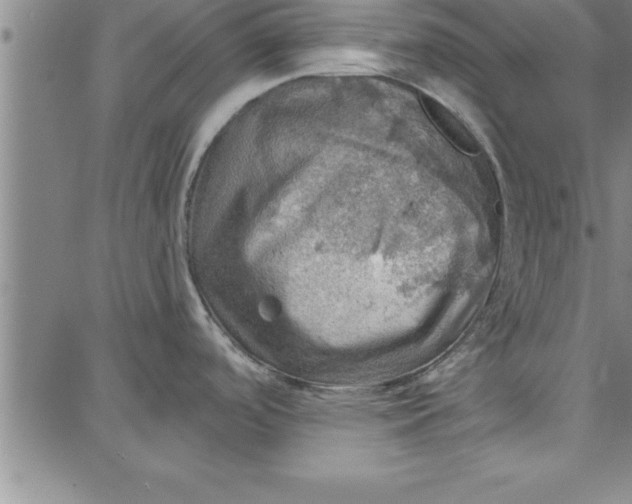 X0000087741488200705211000