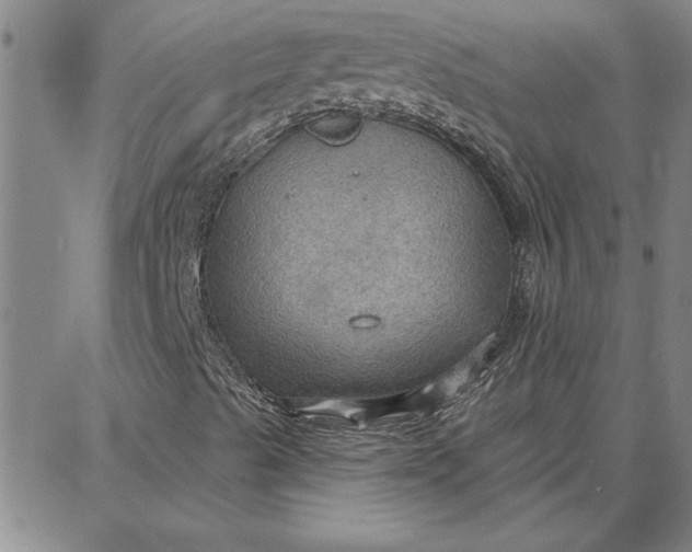 X0000087741489200705210959