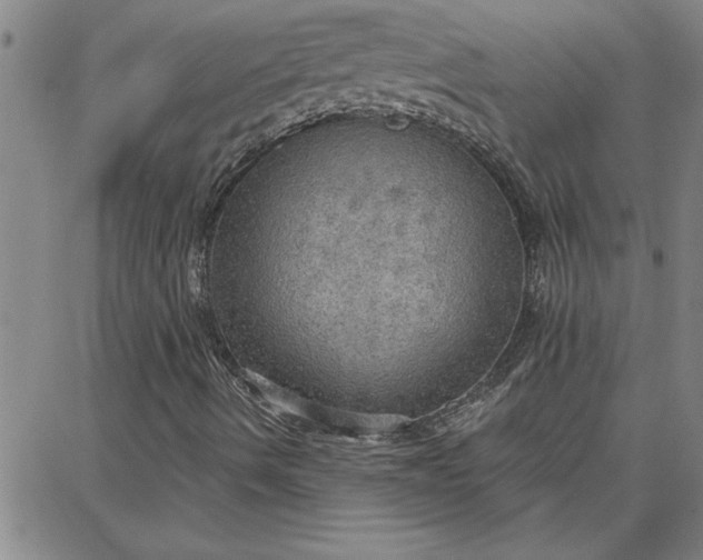 X0000087741490200705210959