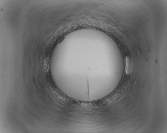 X0000087741491200705210959