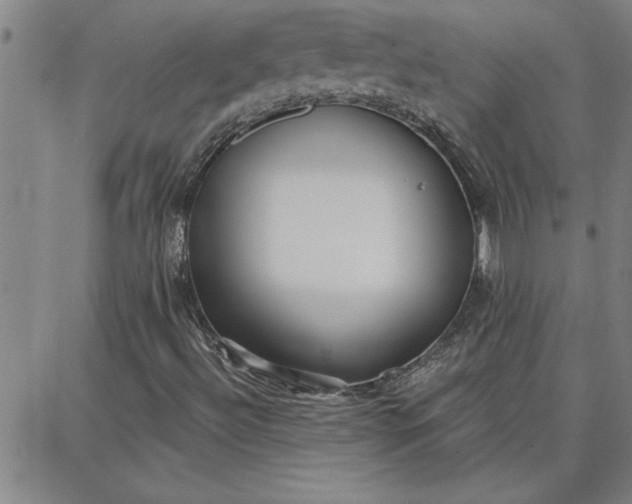 X0000087741492200705210959