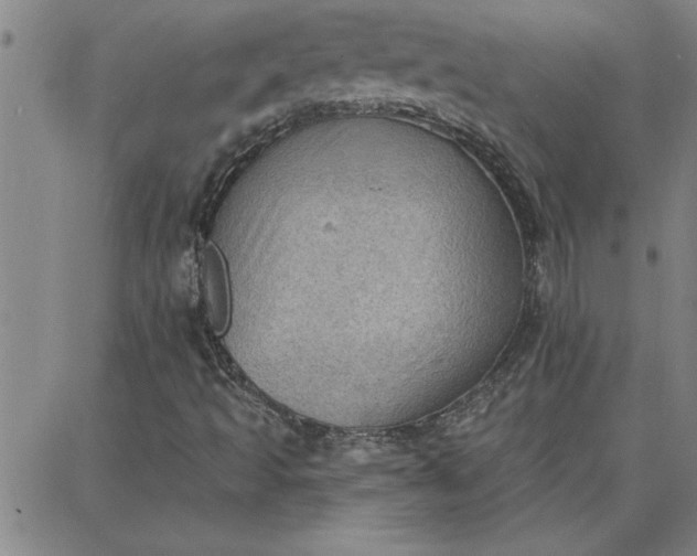 X0000087741493200705210959