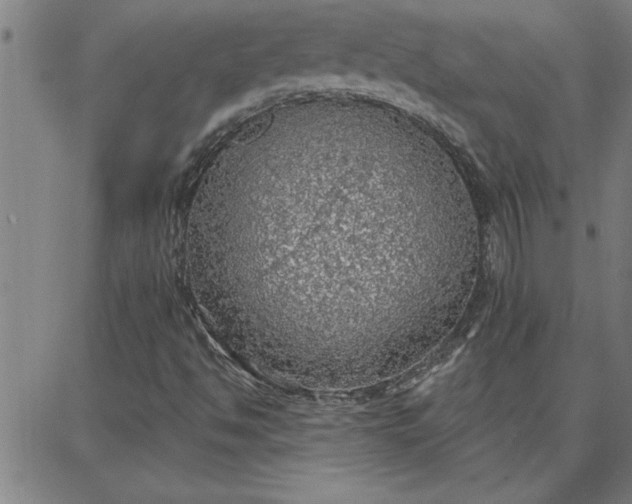 X0000087741494200705210959