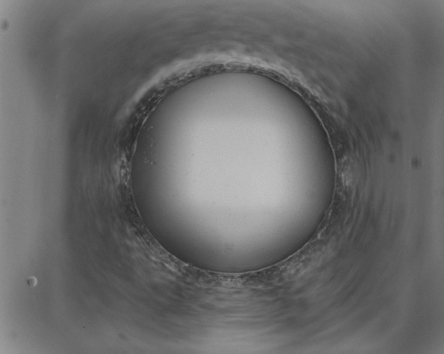 X0000087741495200705210959