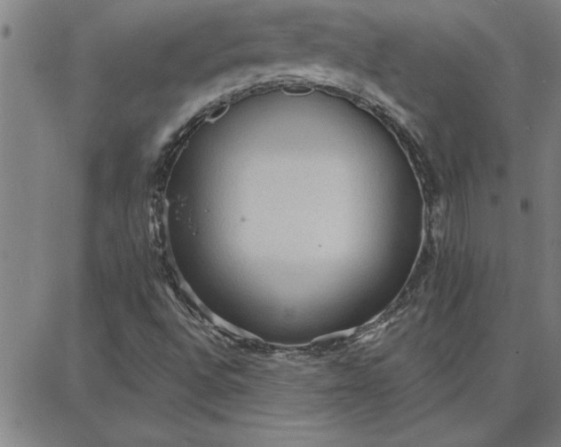 X0000087741496200705210959