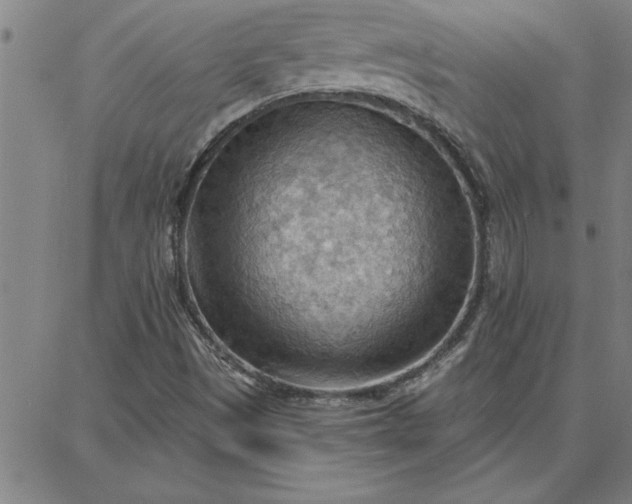 X0000087741497200705210959