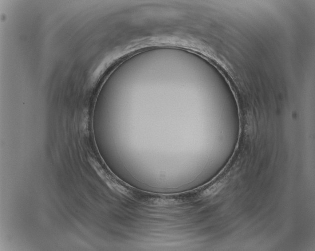 X0000087741499200705210959