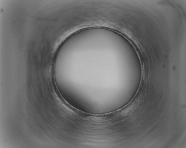 X0000087741500200705210959