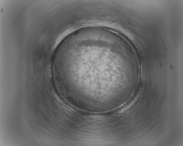 X0000087741501200705210959