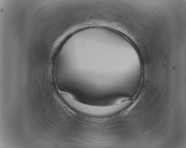 X0000087741502200705210959