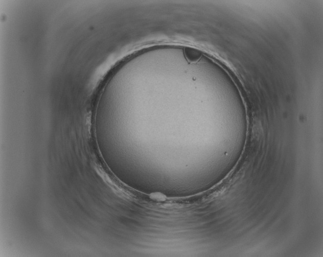 X0000087741503200705210959