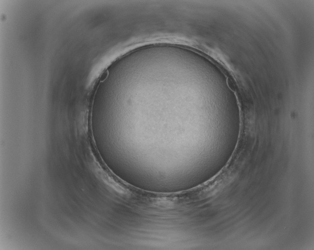 X0000087741504200705210959