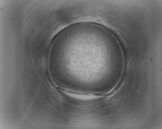 X0000087741505200705210959