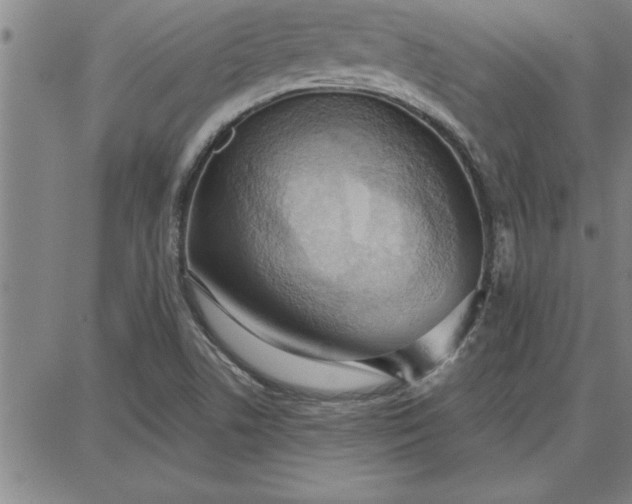 X0000087741506200705210959