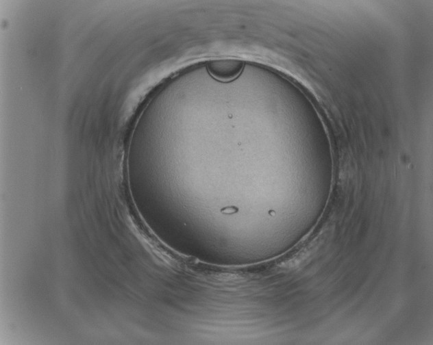 X0000087741507200705210959