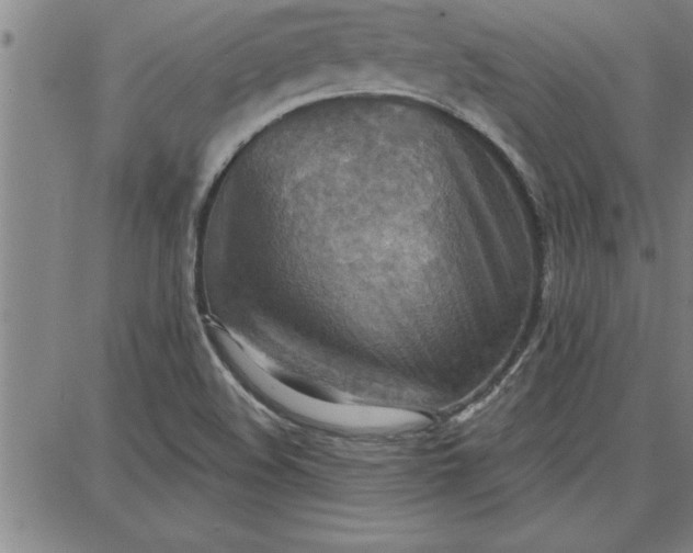 X0000087741508200705210959