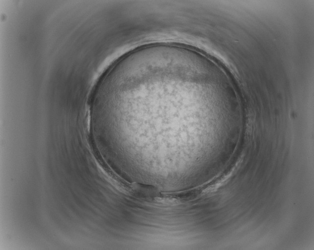 X0000087741509200705210959