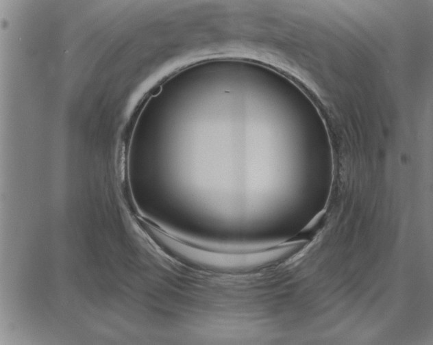 X0000087741510200705210959