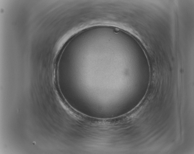 X0000087741511200705210959