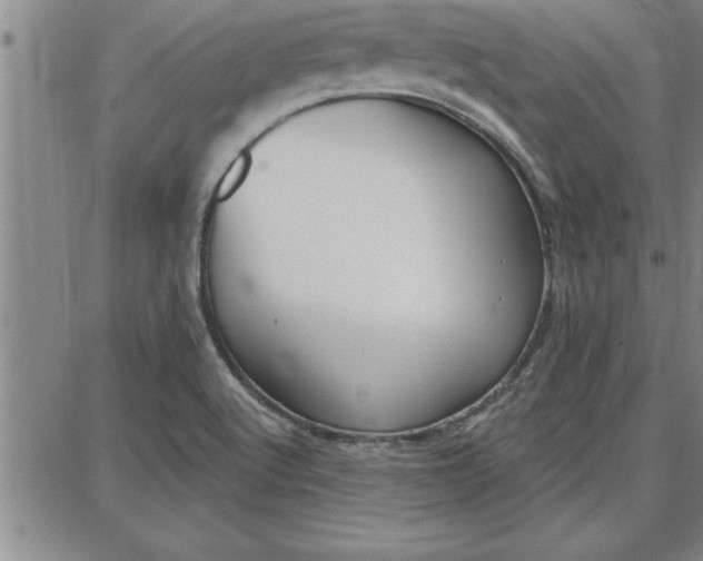 X0000087741512200705210959