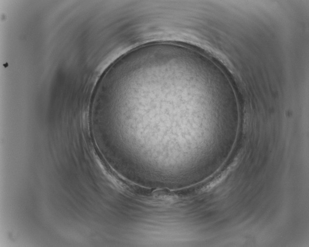 X0000087741513200705210959