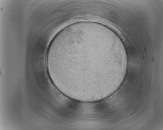 X0000087741514200705210959