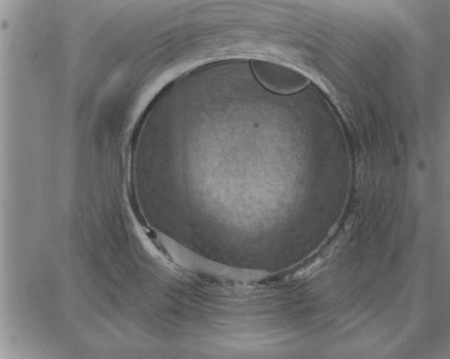 X0000087741515200705210959