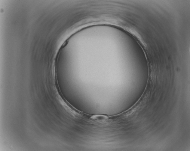 X0000087741516200705210959