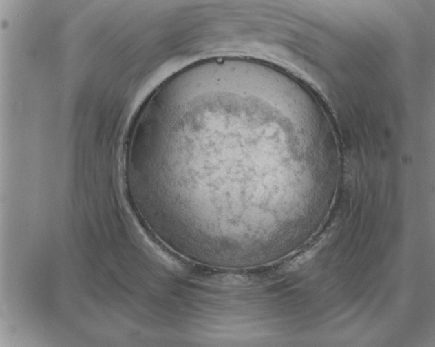 X0000087741517200705210959